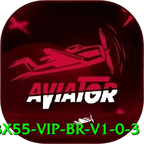 bx55 VIP BR v1.0.3 - pk